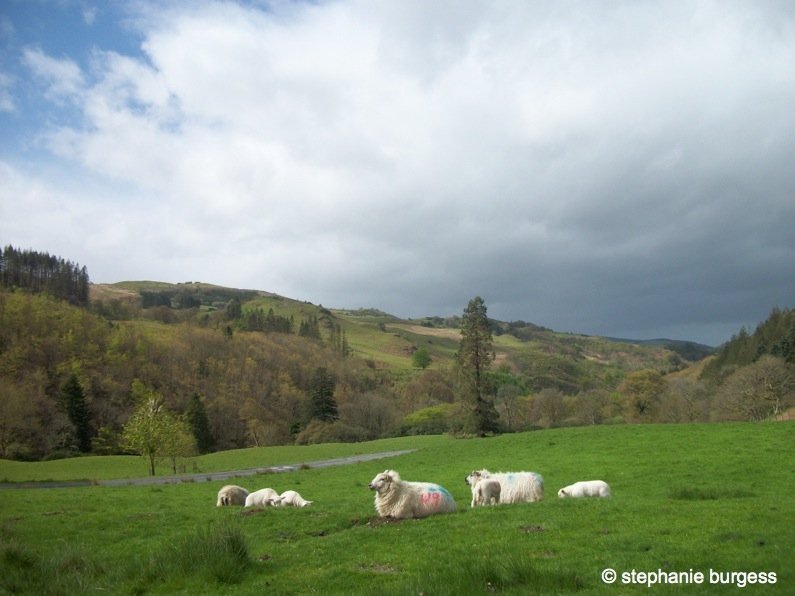 Four Seasons at the Hafod Estate, Pontrhydygroes