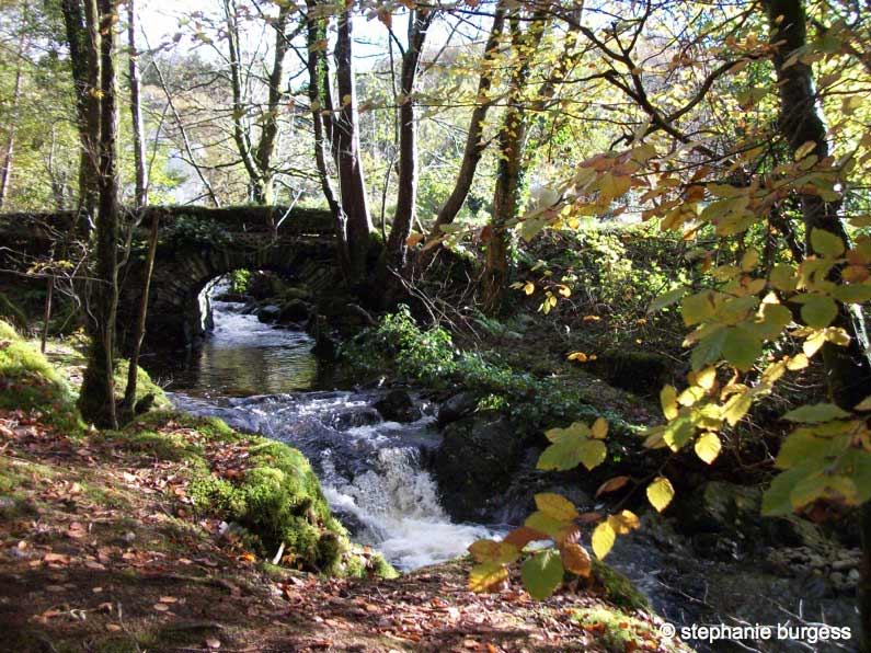 Four Seasons at the Hafod Estate, Pontrhydygroes