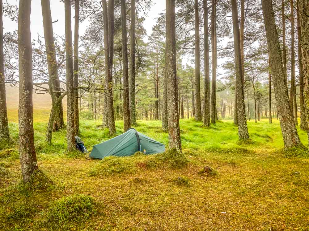 camping in the woods