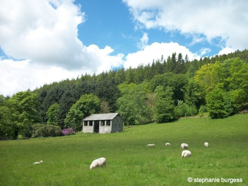 Four Seasons at the Hafod Estate, Pontrhydygroes 1