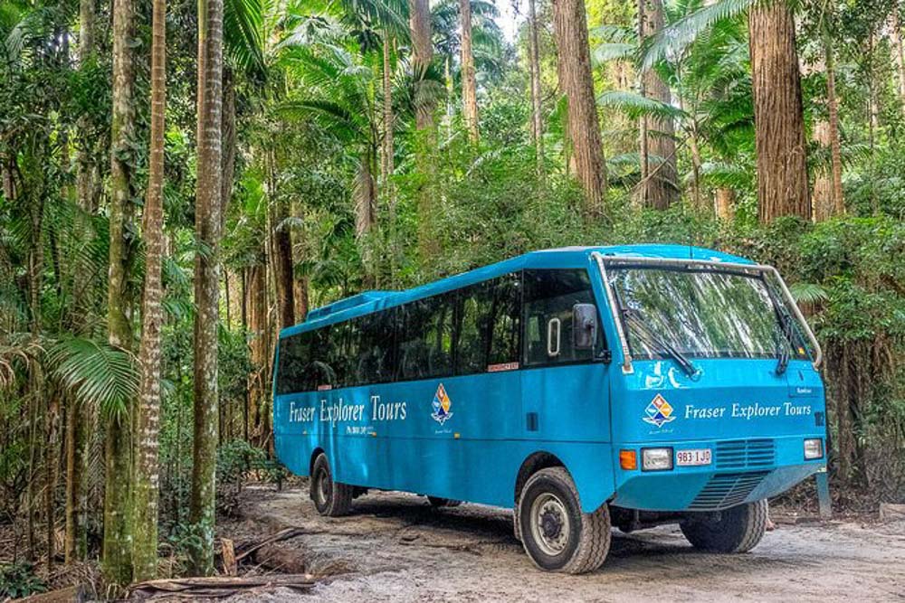 four-wheel drive tour buses