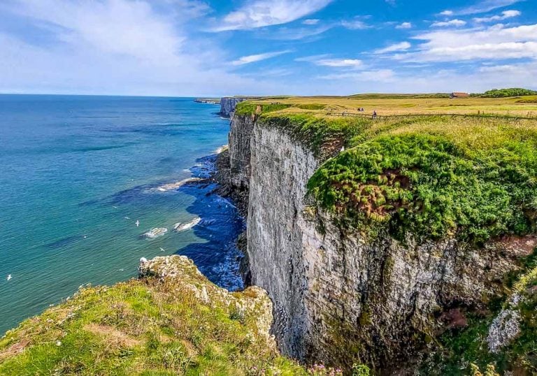 RSPB Bempton Cliffs – Puffins and Other Sea Birds