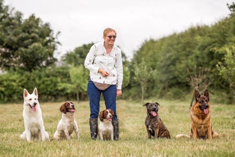 The Work and Passion Of a Dog Trainer & Behaviourist