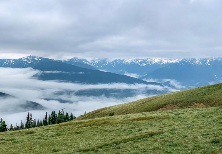 Hurricane Ridge Hike – Olympic National Park, WA