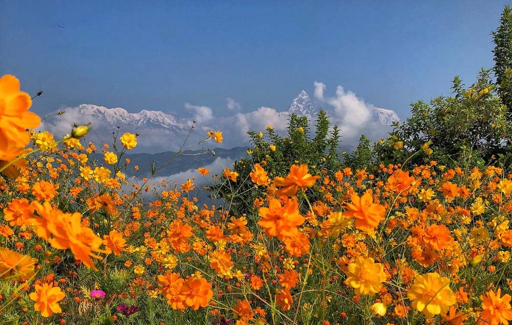 Annapurna Himal