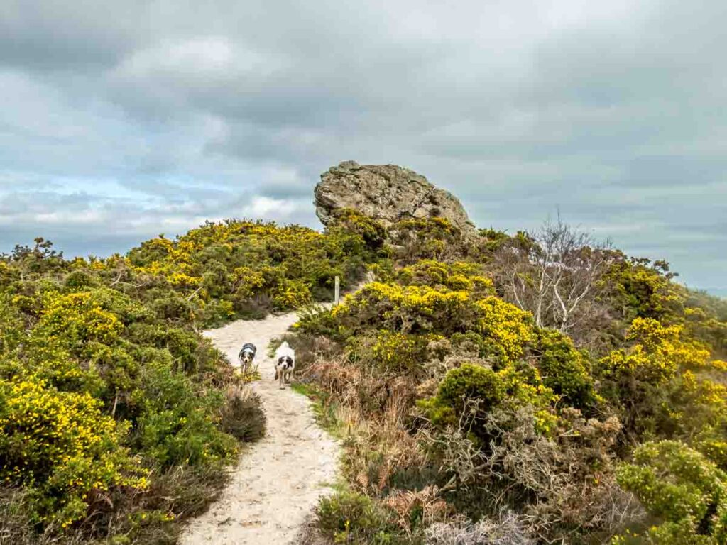 approach to agglestone rock