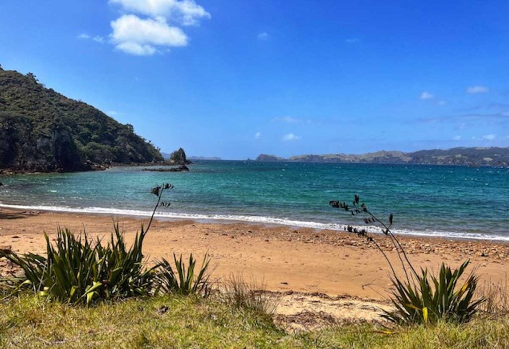 beach on the Mahinepua Peninsula