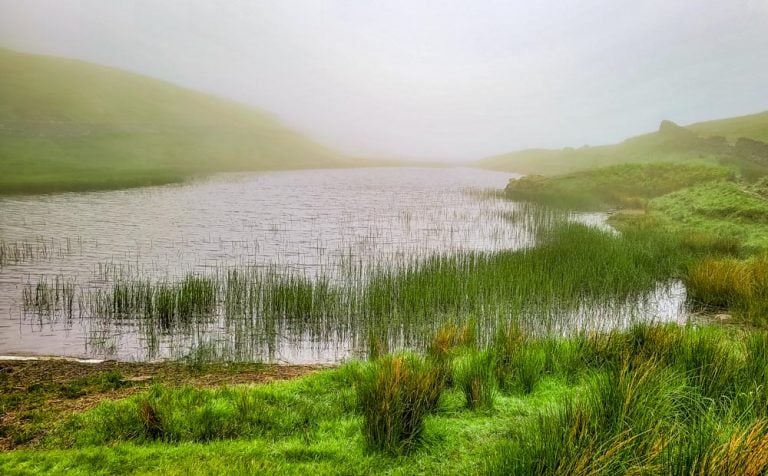 A Walk Up To Alcock Tarn From Grasmere