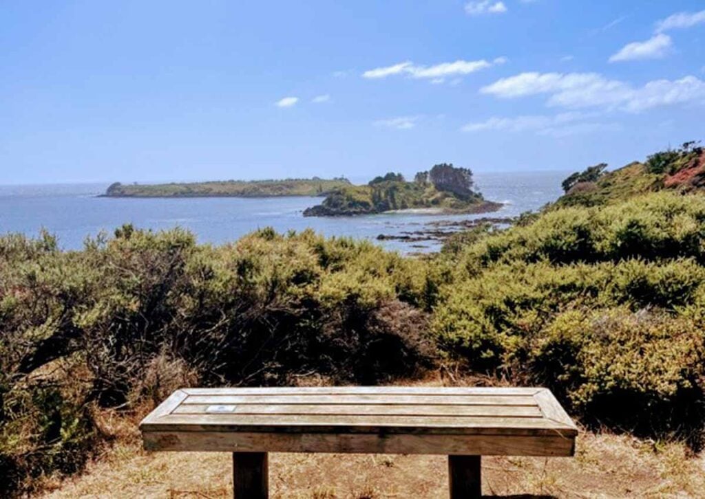 bench on the Mahinepua Peninsula Track