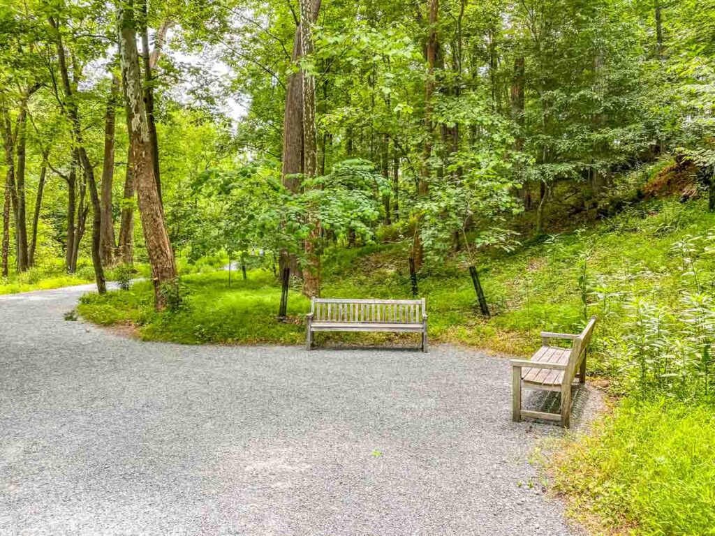 Benches sitting off a trail on the grounds of Glenstone Museum