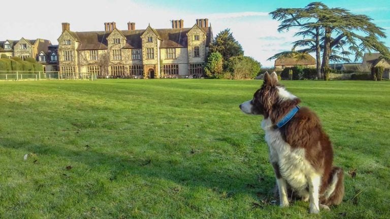 Billesley Manor Hotel: Pet Friendly Bliss