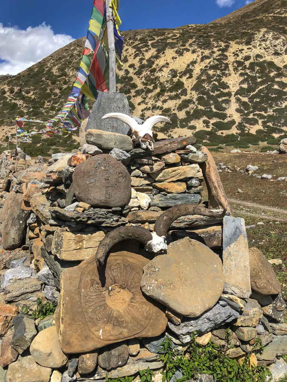 Black Sheep Skull Chorten