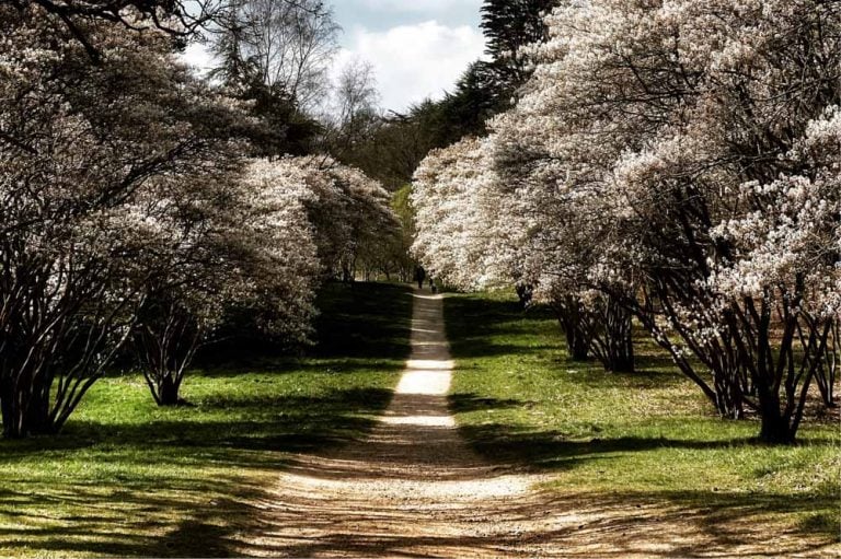 Virginia Water Lake – A Springtime Walk