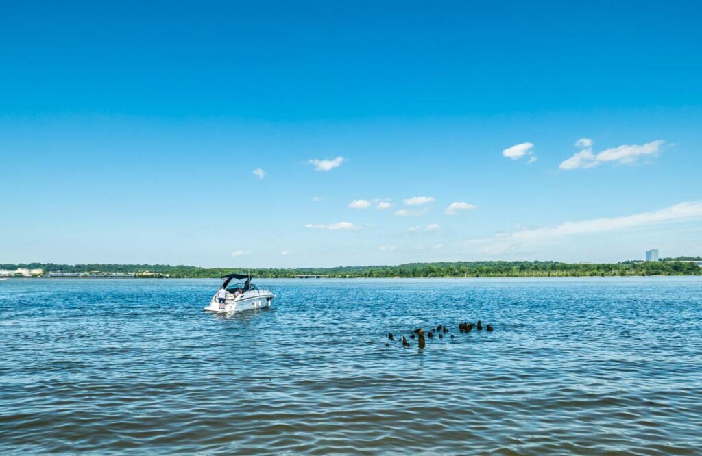 blue scene with water