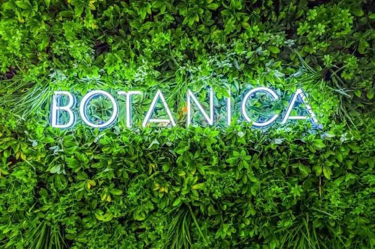 A Dining Experience At Botanica, Kirkby Lonsdale