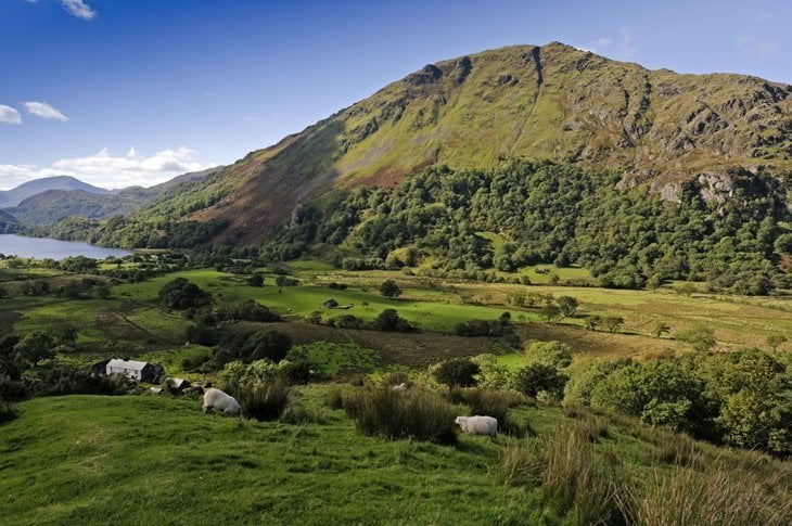 Beautiful Britain – Sheep In The Scenes