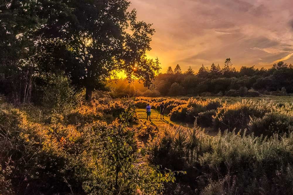 children walking at sunset