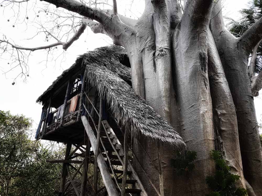 chole mjini treehouse