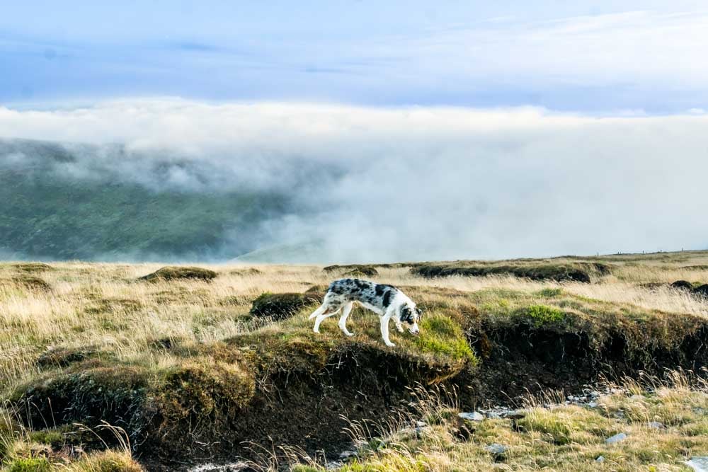 cloud inversion