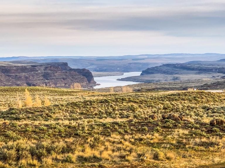 Along The Columbia River, Central Washington