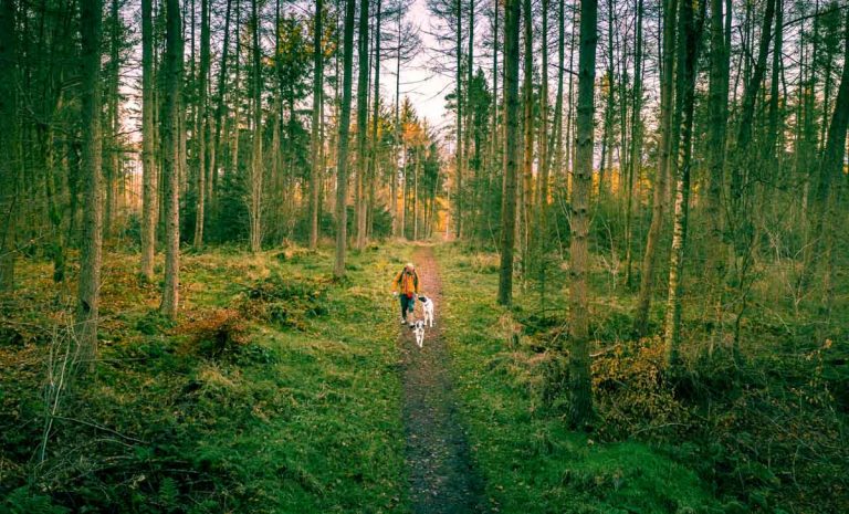 Walking For Your Mental Health