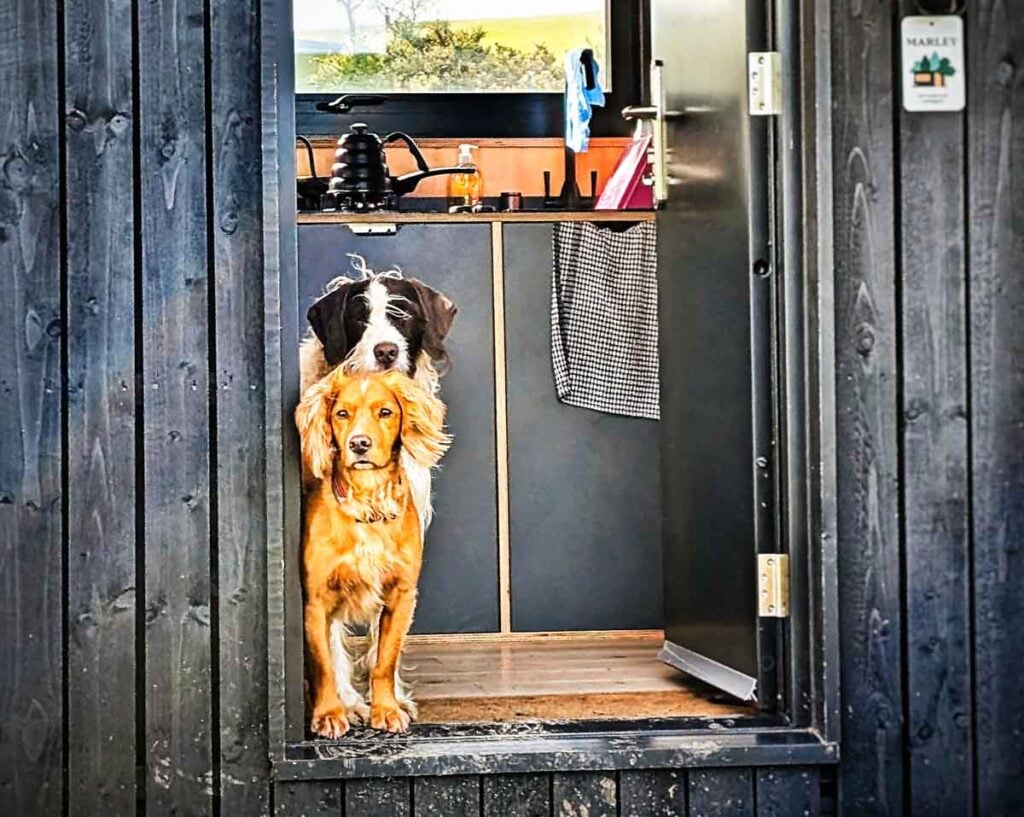 dog friendly off grid cabin