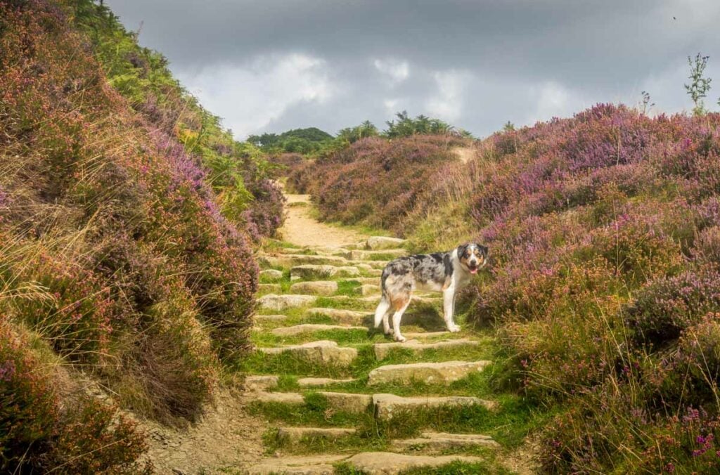 Hole Of Horcum Walk In The North York Moors 1