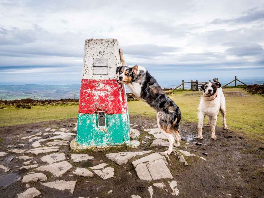 dogs at the trig point painted white, red and green