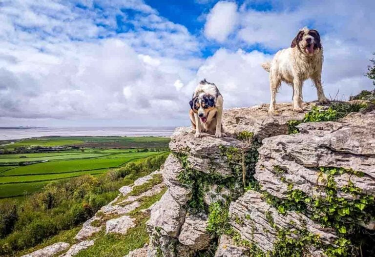 A Walk Of Warton Crag, Lancashire