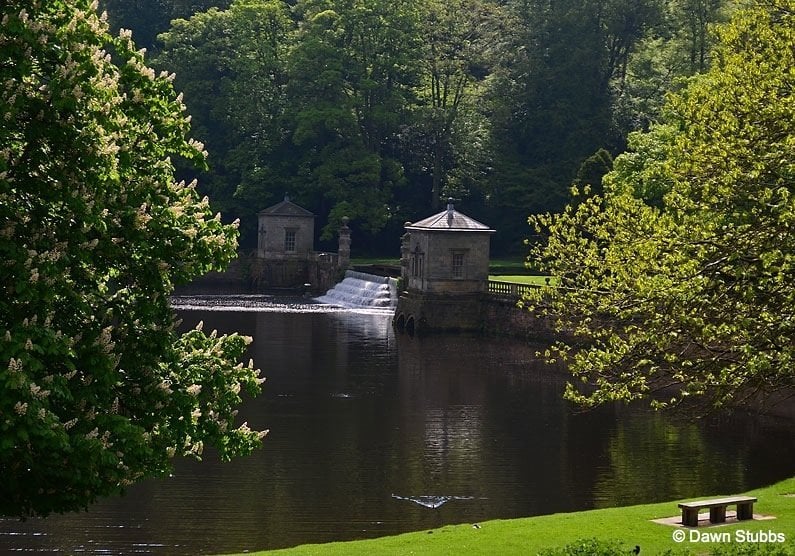 Studley Royal Water Garden lake