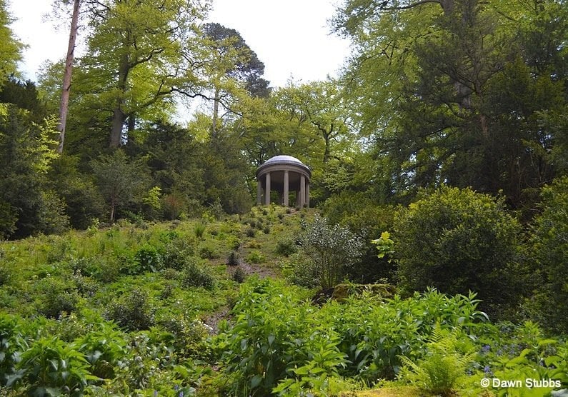 folly in the trees