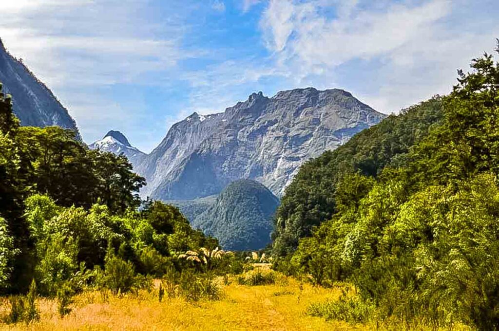 arthur valley view