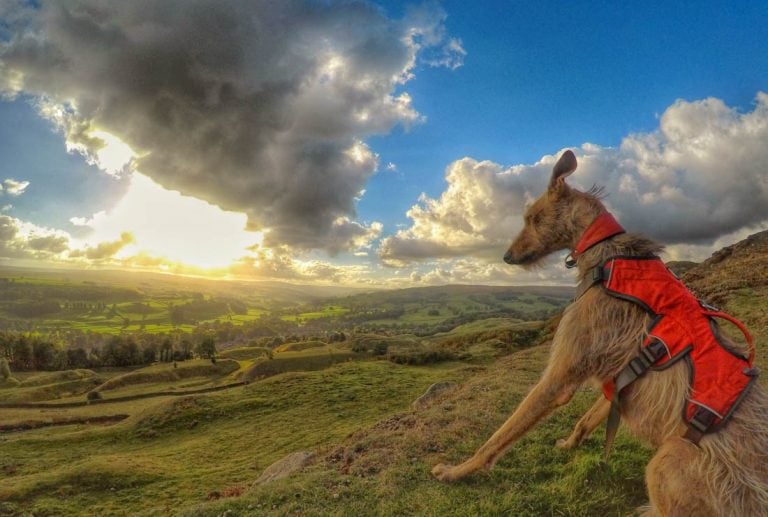 A Walk Above Stanhope in The Durham Dales