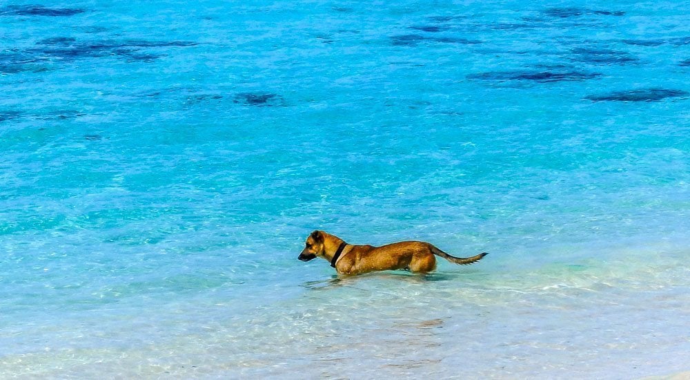 Rarotonga, Cook Islands - Pacific Paradise 4