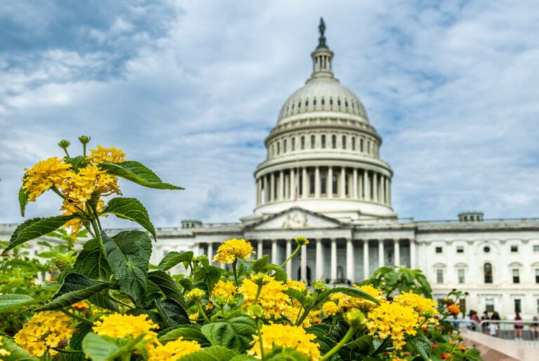 A Tour Of The United States Capitol Building