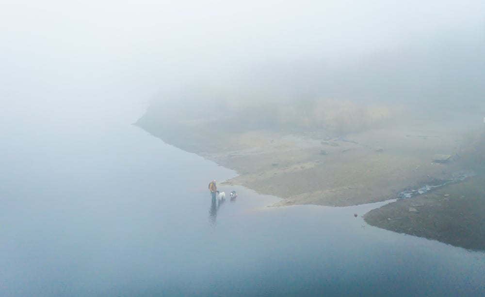 foggy lake