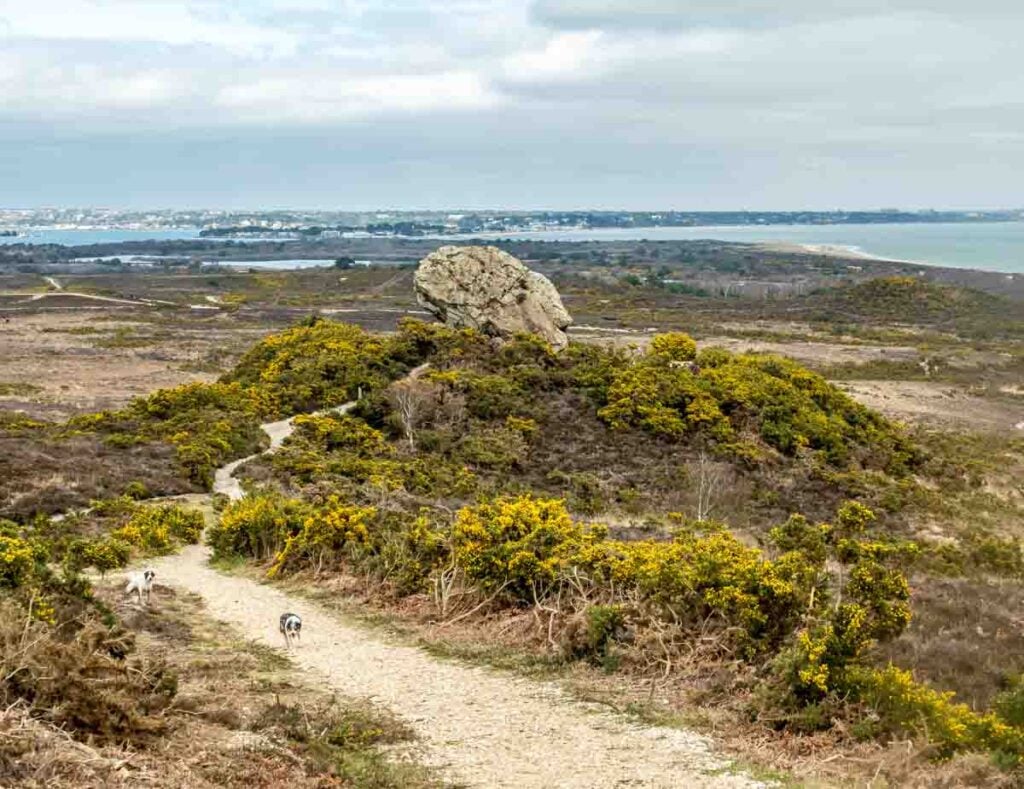 footpath to agglestone rock