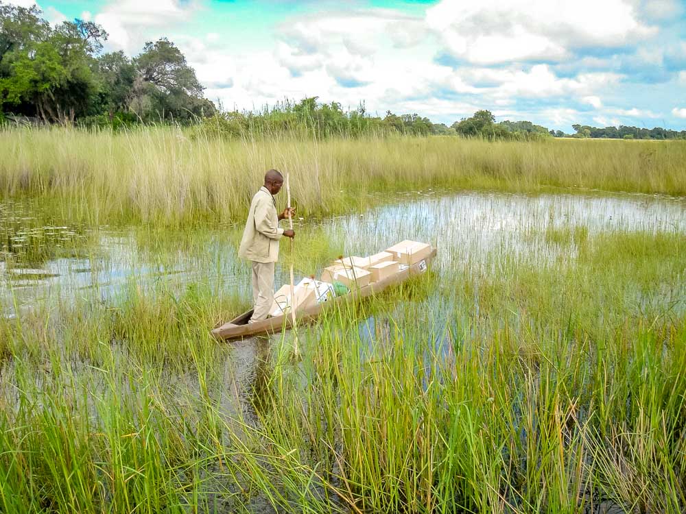 botswana river boat