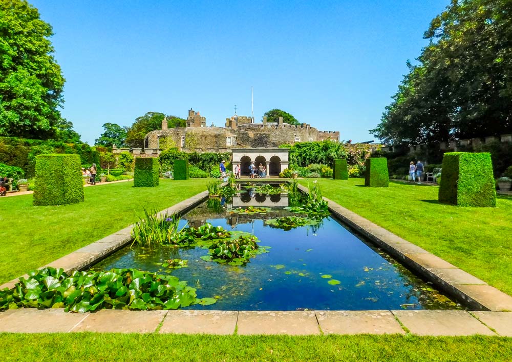 garden pond