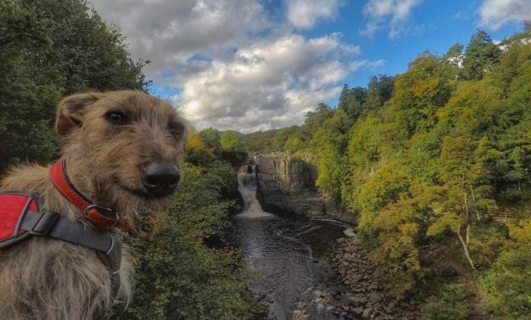 Low and High Force Walk – Durham Dales