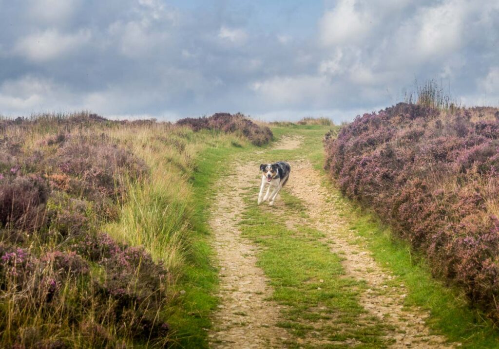 hole of horcum track