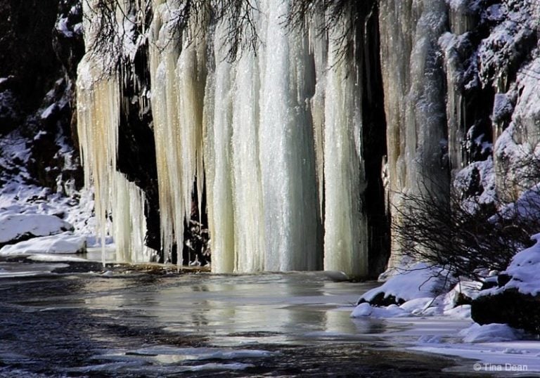 Newfoundland: Leech Brook – The Roar of the Water