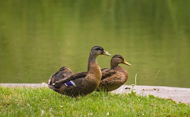 Wiltshire - Walking Along The Kennet and Avon Canal