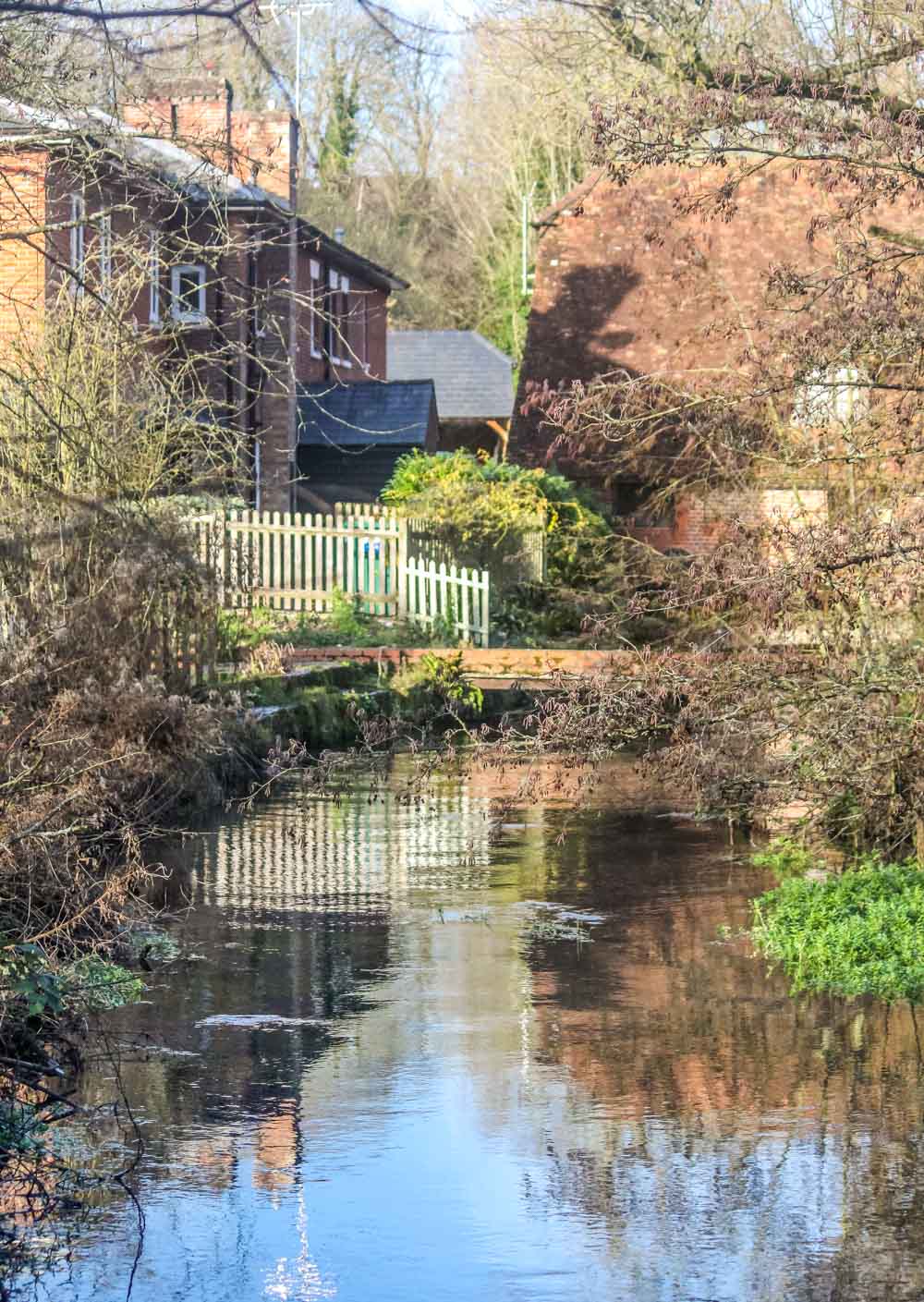 A Walk Around Rooksbury Mill Nature Reserve - Andover 2