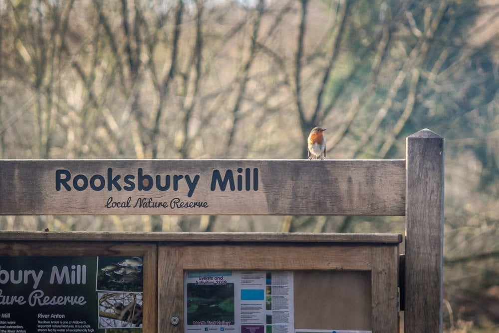 A Walk Around Rooksbury Mill Nature Reserve - Andover 4