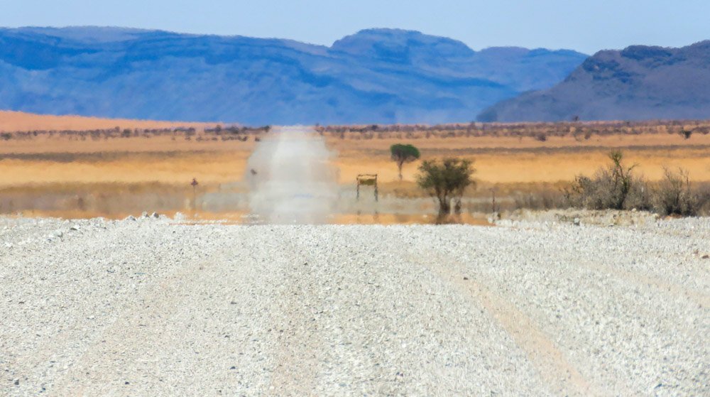 landscape of safari