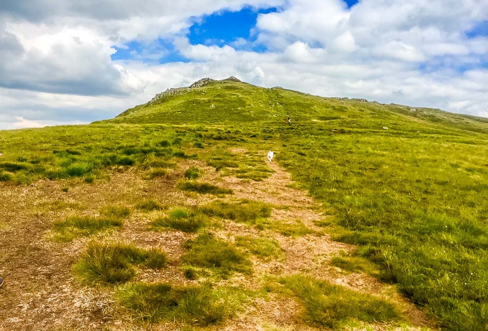 A Walk of Sheffield Pike, Heron Pike and Glenridding Dodd 4