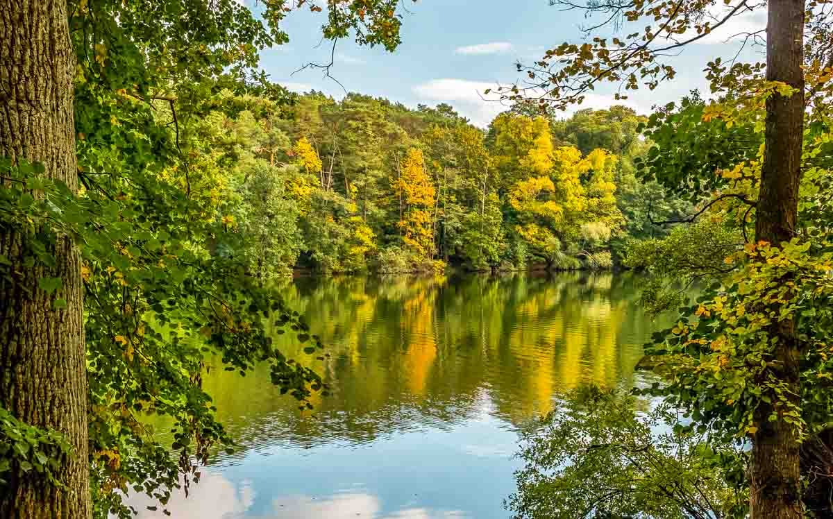 Krumme Lanke lake reflections