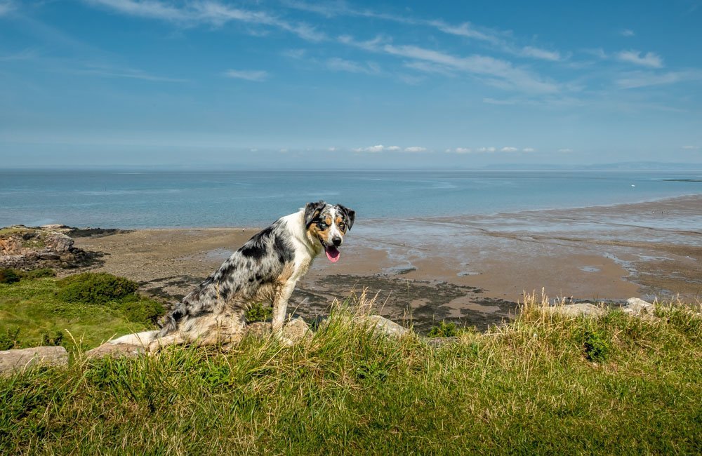 view from heysham cliffs