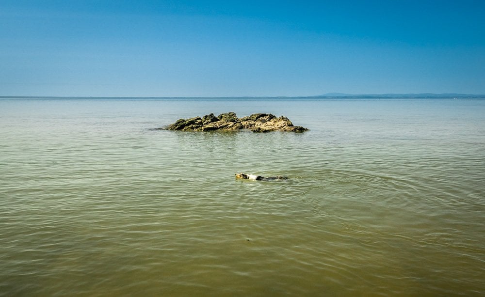 paddling and swimming